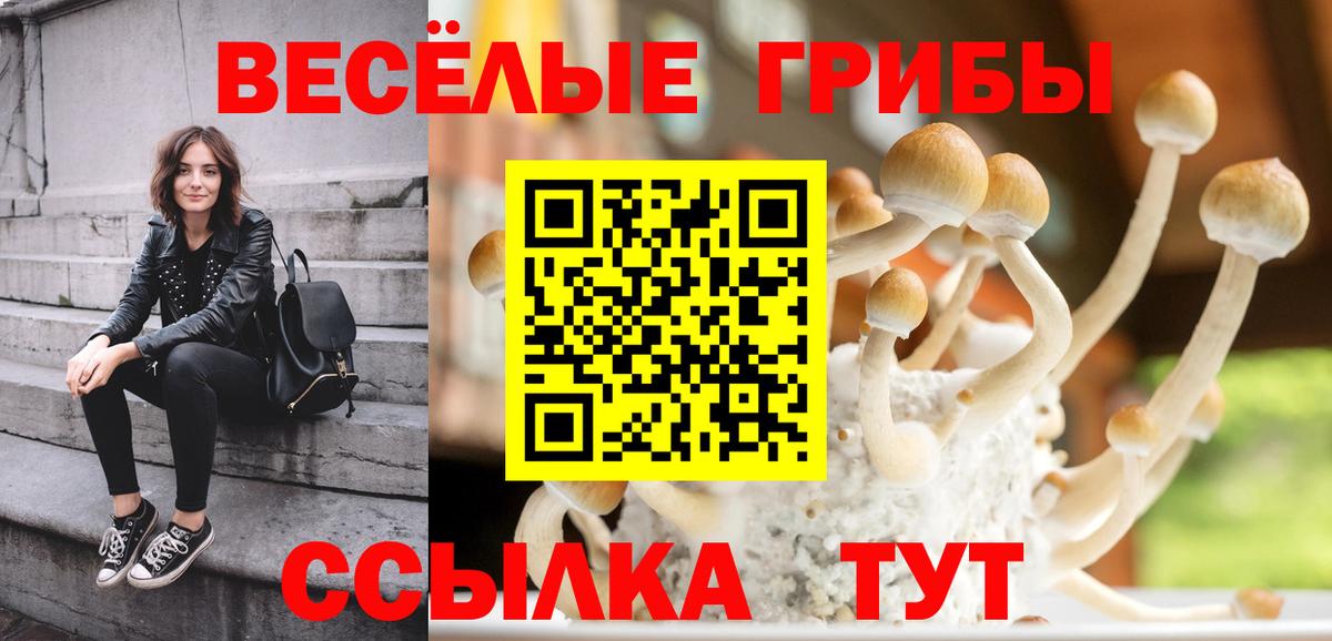Галлюциногенные грибы Psilocybe Чусовой