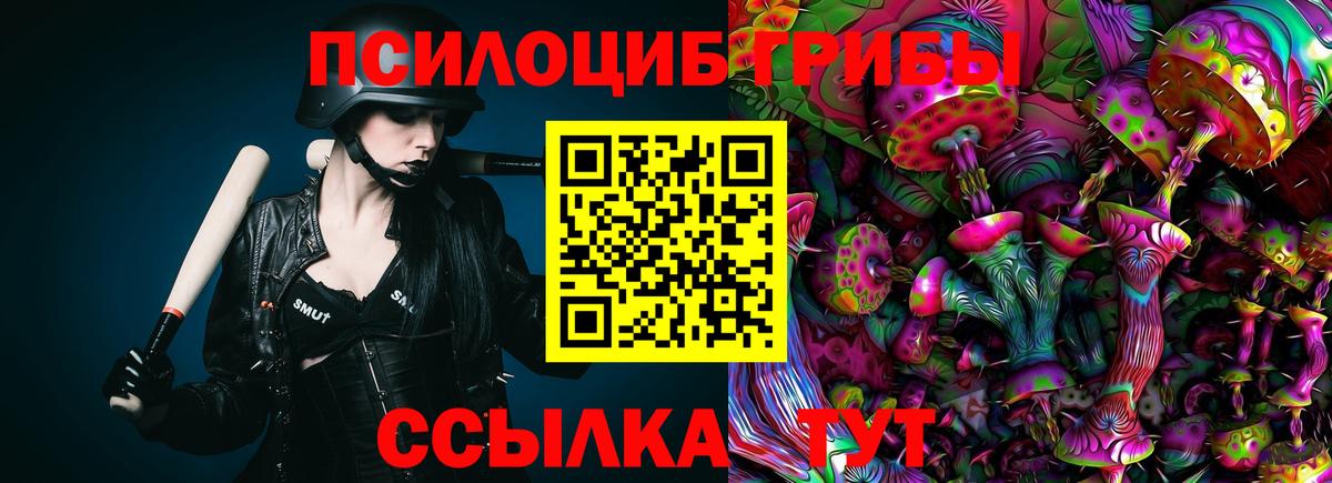 Псилоцибиновые грибы прущие грибы  Вход с VPN  Чусовой 